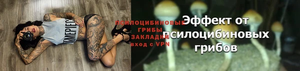 a pvp Вяземский